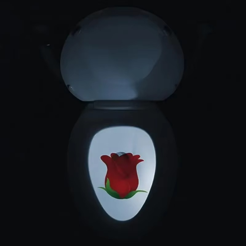 Toilet Projection pee target