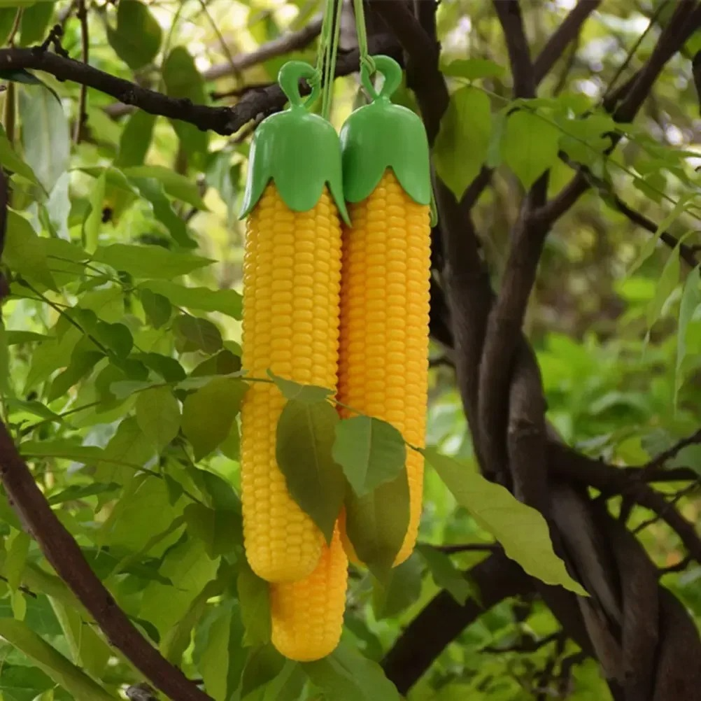 Creative Umbrella